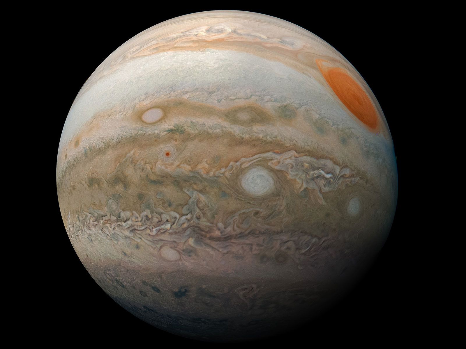 www.smithsonianmag.com
